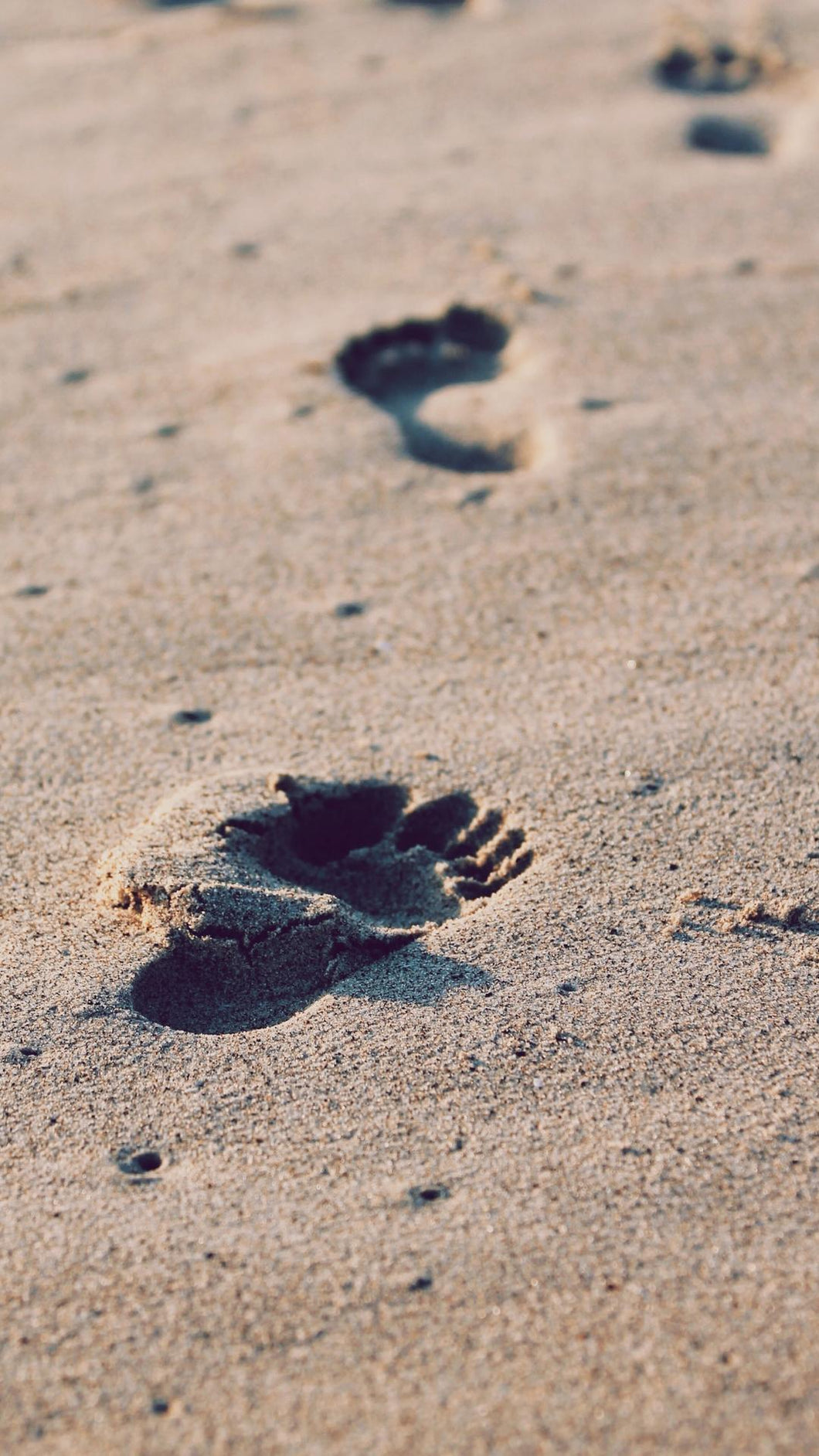 294f82f93e79437b88d1ce98550cc69cc609b3ad