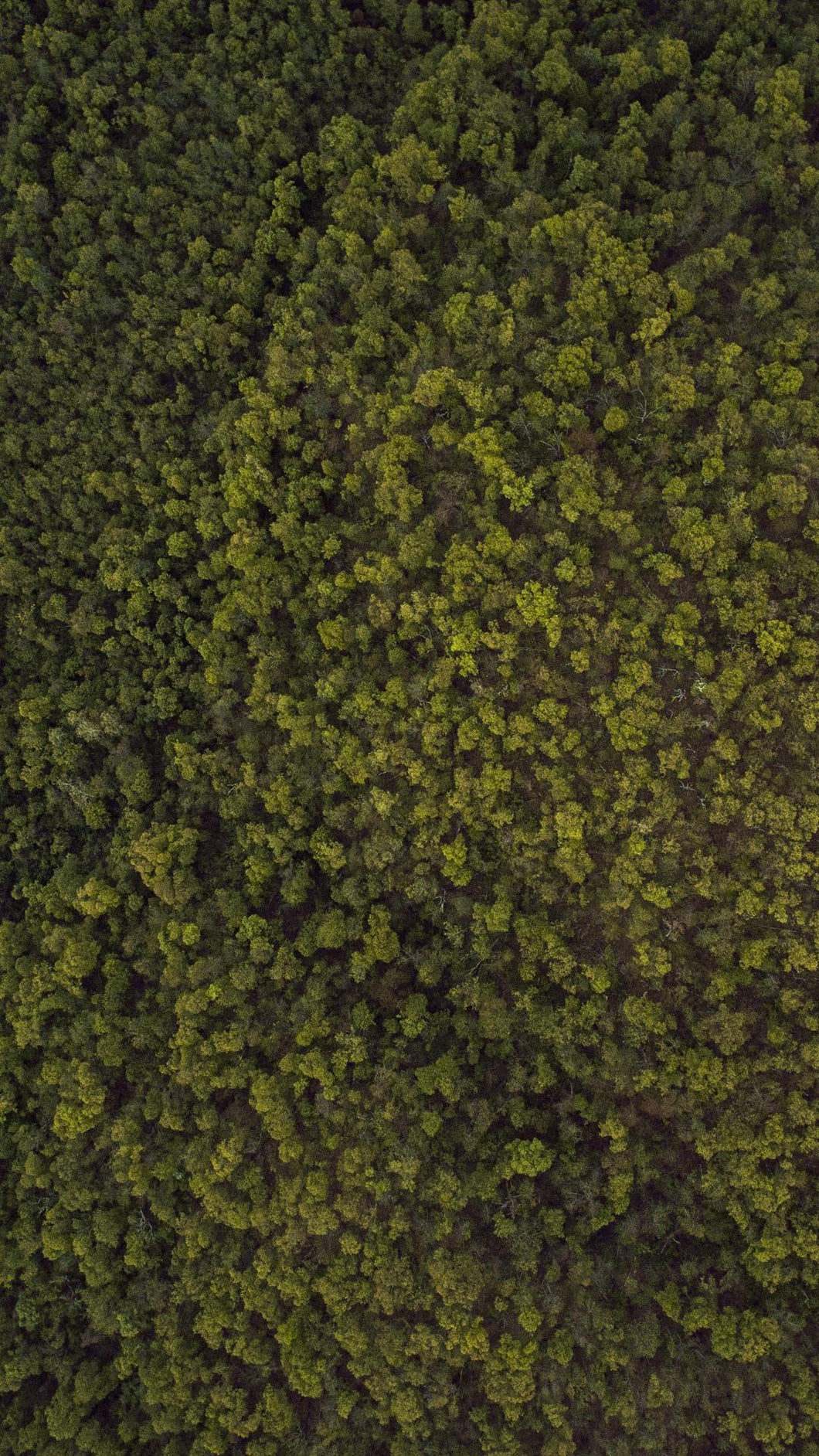 cfd9027e690207c704454d1ec063fac8c49ded78