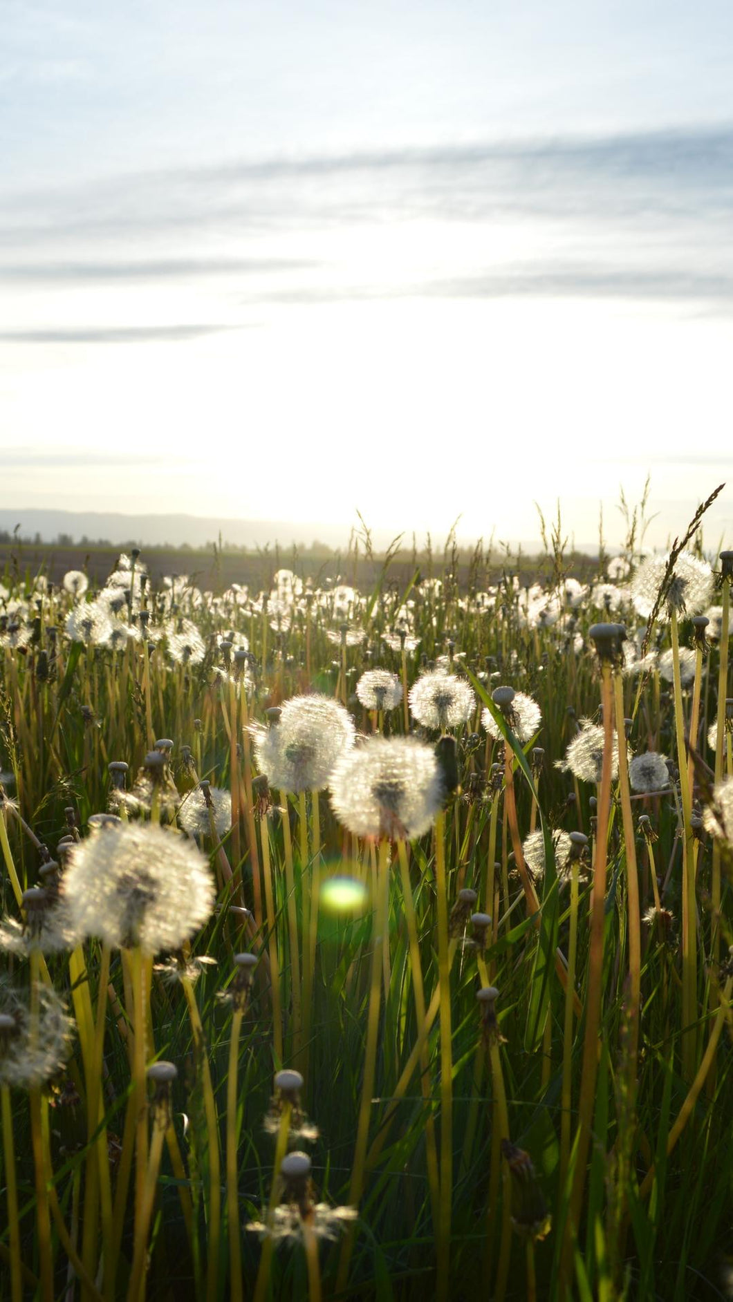 062c41dba7a500069819b70d7eda2f1a5b7c197d