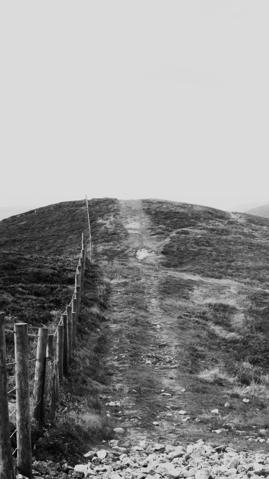 daf0de863098cdb686f88de1dbf93d02bcd9d324