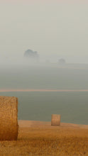 Load image into Gallery viewer, d85554e65e8ab69c389938e5148c9dcf1c5d5137
