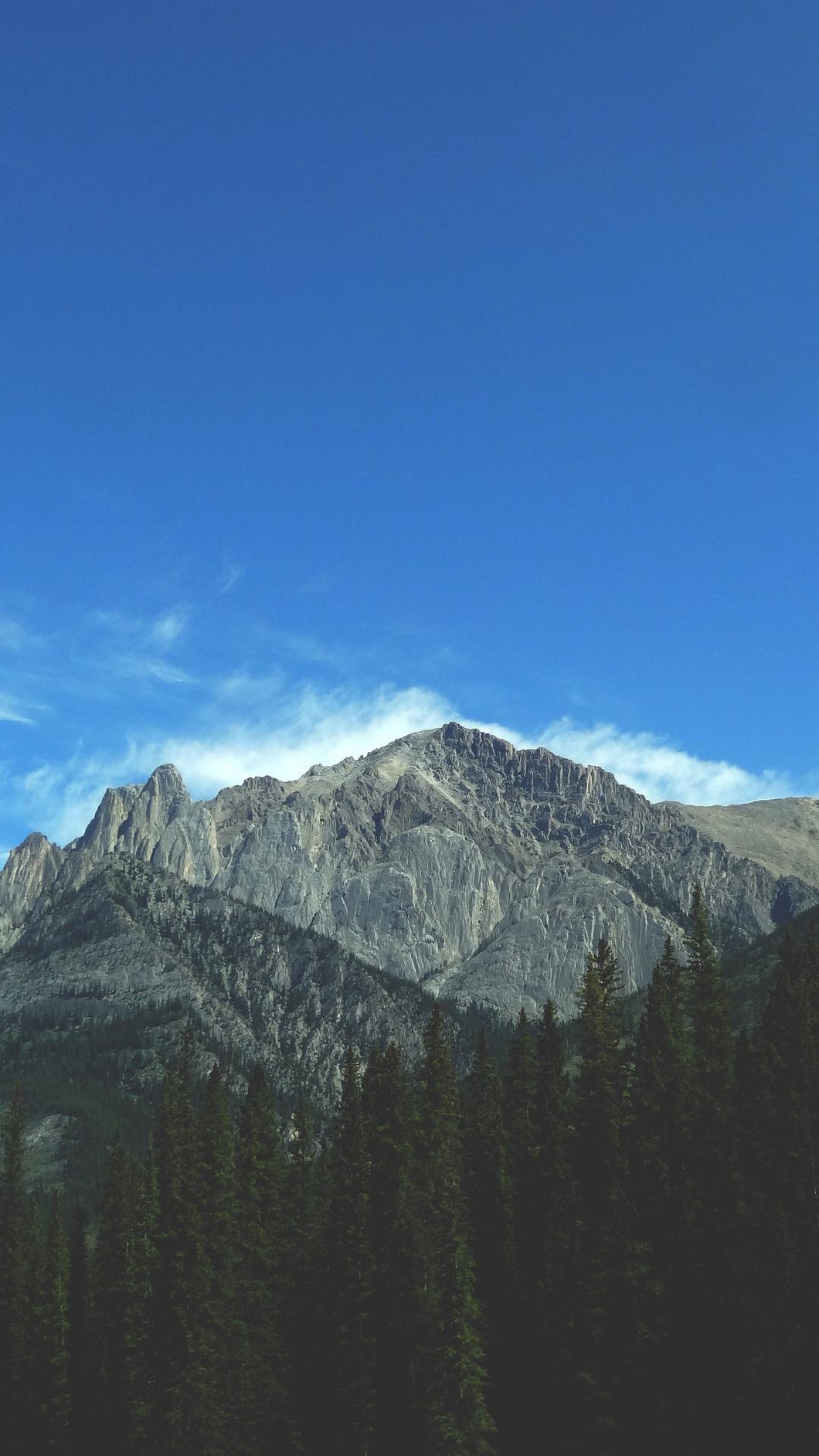 b5448cf3e0087c0766c4a34ae17fdfc979b04156