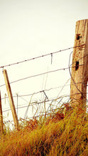 Load image into Gallery viewer, 073fff89a68aa3a915ad342c8490ee3929fbd61a
