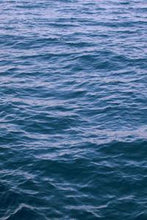 Load image into Gallery viewer, a24fabad380f96c75fdbea1fff49c6d3957d687b
