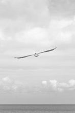 Load image into Gallery viewer, bc66969e92e34d34bb24888db5009f766f9f56c9
