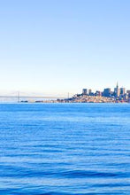 Load image into Gallery viewer, 868fa699578cdc7070261f83a59050ec5e9cf156
