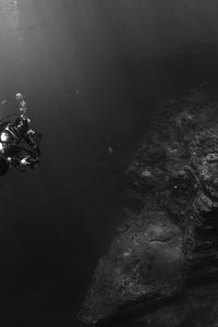 1fb5db7f0f29dc5f7286dff1019773d073cf8c1b