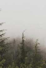 Load image into Gallery viewer, 605ce037b089fb350b7a0095688177332d64f9be
