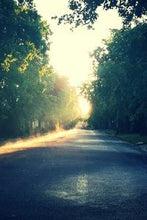 Load image into Gallery viewer, 23507a85ee9e61e25e42b08ec331b4544ace9e52
