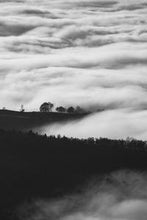 Load image into Gallery viewer, 7519b4271ff4e49de871223a55d0f543f76094e6
