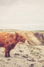 Load image into Gallery viewer, a45a7f796b828ca91b25e3ea156c0af43c7dcc41
