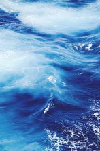 Load image into Gallery viewer, 47bb4de05ad41d079fcfd107da69b23ddf10070e
