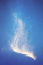 Load image into Gallery viewer, dcc64dbac54df9ae07c29554615510c5aff095ce
