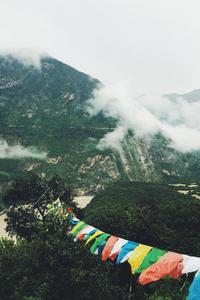 8d0b4418821cf83aa37d6ae48b7dcc512f31d409