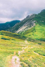 Load image into Gallery viewer, 230ed3718620ea66324d935faa5ca6c01b8006be
