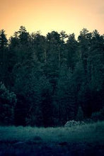 Load image into Gallery viewer, e01dfd2767bacd5bff520b0ad2b8d04eefb59690
