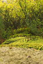 Load image into Gallery viewer, c871885a1c3295dde69624a7787b119b85fe430a
