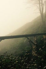 Load image into Gallery viewer, bdc7f9bdbad618106d5c7d046891409c5f5a37f6
