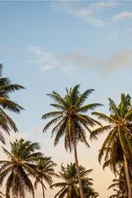 Load image into Gallery viewer, 5d598f3452b2be25e849dea32f0a32cecbb333a6
