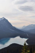 Load image into Gallery viewer, 538d9a1654e1dbe508f273f2d4a43676c1f20c8c
