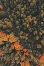 Load image into Gallery viewer, 2a2b2b7216d7d1553169f5c543e1bdb20739449c
