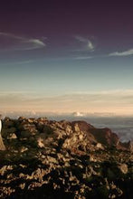 Load image into Gallery viewer, fecf3a2faf642f9c62795f5f62e4d6f72efe2e88
