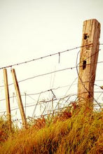 Load image into Gallery viewer, c27fca25b116c24408cb94891f1fb868a4f2aa2d
