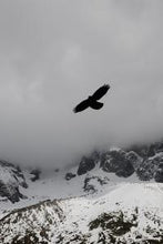 Load image into Gallery viewer, 9d3e89b6c69937e466b25b86d9c36853d092f514
