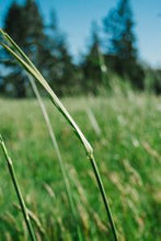 画像をギャラリービューアに読み込む, bd5d9667e3859288b93ee4e7f395af9fdad91fdc
