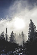 Load image into Gallery viewer, ab00e5e829c58ad952e62bf3288a6681af552499
