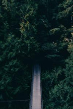 Load image into Gallery viewer, f7eca5cccbc2df6641ec54530054dc9c3c24fb93
