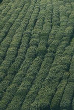 Load image into Gallery viewer, f4c0cf8751595a87d74fdc0d86402c06bf8ded18
