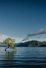 Load image into Gallery viewer, ca604d15eb638c1980bdc7e1683ac816b6064476
