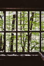 Load image into Gallery viewer, 22dfe3a9c52e1edd9131182eb903eb595a93c6d9
