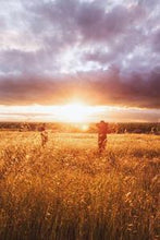 Load image into Gallery viewer, c6136e81ed4bf18dbcd5523c9122ff5a39ce3d1f
