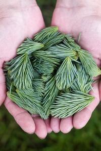 097158f6693e9b7a490e2b160e55df49d203f6cf