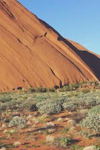 Load image into Gallery viewer, 44bfa0ada8f8487d98164ec22ec7b92d618909cc
