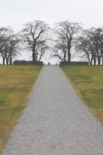 Load image into Gallery viewer, 51ca576d66ae2045160117f10395ada661790d19
