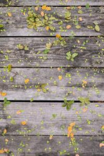 Load image into Gallery viewer, c16e1a2230532105a48dc588e21f0c02955e8cf8
