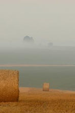 Load image into Gallery viewer, 3e1ac7f17f2961cf376916552f788987b6d3734c
