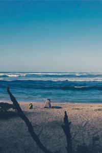 e903c586140d1270a49086096175fc72f9c35e6b