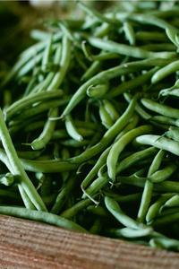 9db056d3302db129833c06590de9532b6c1c6342