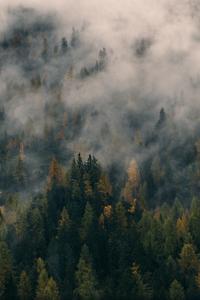 9a0682844dc8efe56157411b972654dd48cdbc5b