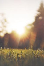 画像をギャラリービューアに読み込む, bf2443c62b53a31412d2a6189f88efc56afd8641
