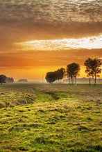 Load image into Gallery viewer, c2b88e71cd482cd58a1e84ce8929a1b37fca3d52
