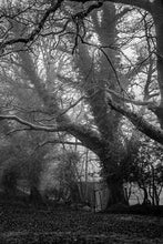 Load image into Gallery viewer, a690131b202160513cc1c95d30451681cc9da56f
