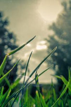 Load image into Gallery viewer, bd72ce8fd040be947b3f6a12482ed30388d40b0b
