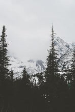 Load image into Gallery viewer, 4c43e14e9e96a63b7fec665a39a85faa12f0d091
