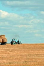 画像をギャラリービューアに読み込む, e73d5e1eabced59bfb807282157a22c33f305442
