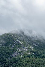 Load image into Gallery viewer, 61fa7572252abc2667a677a8960192ad7f23e703

